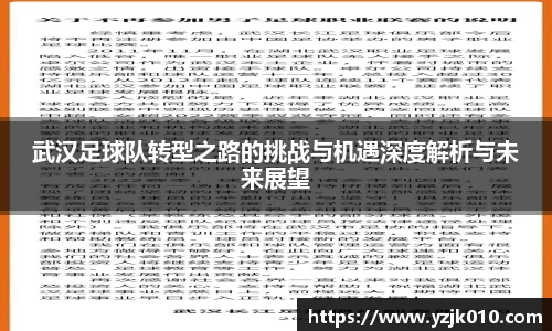 武汉足球队转型之路的挑战与机遇深度解析与未来展望